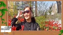 那些花儿